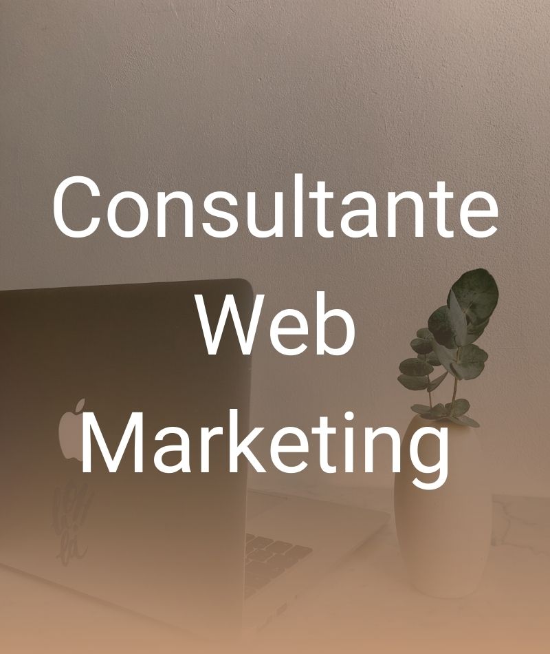 Consultante Web Marketing